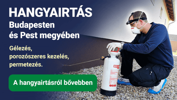 Kártevőirtás - hangyairtás Budapesten és Pest megyében