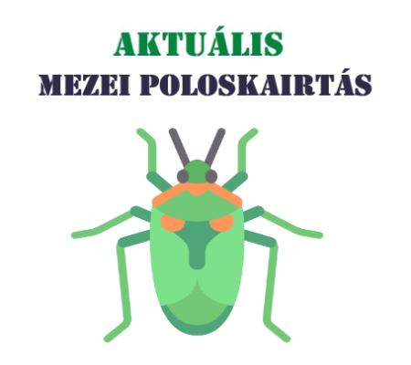 mezei poloskairtás - poloskairtás - kártevőirtás - büdösbogár irtás