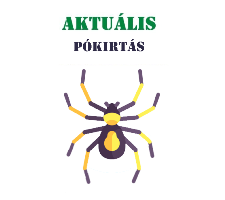 rovarirtás - pókirtás
