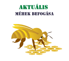 rovarirtás - méhek befogása