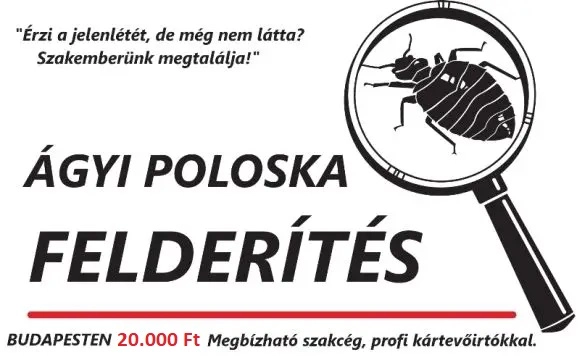 poloskairtás előtt poloska szemle