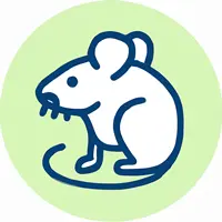 Rovarirtás - egérirtás