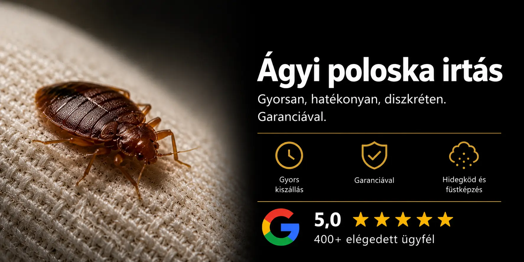 Ágyi poloskairtás – ágyi poloska egy világos textilfelületen