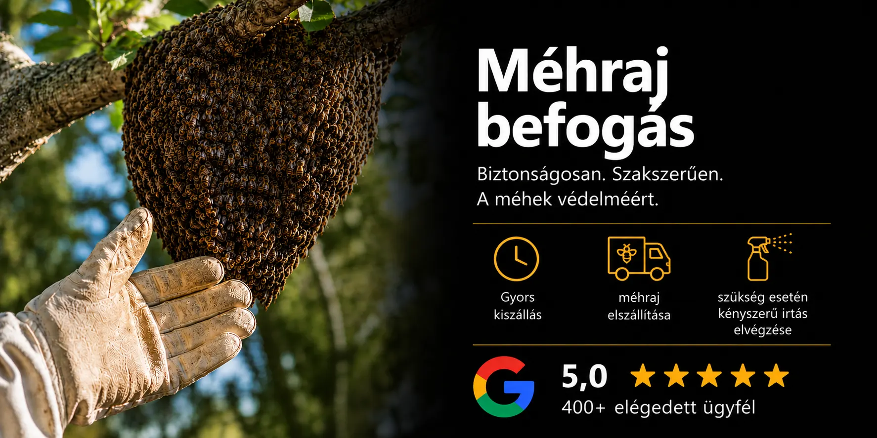 Méhraj befogás - agrohydro bt. Budapesten és Pest megyében akár 24 órán belül.
