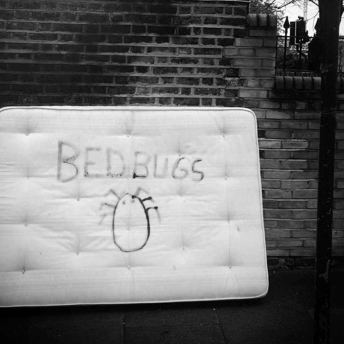 Kidobott matrac ágyi poloska fertőzöttségére figyelmeztető BED BUGS felirattal