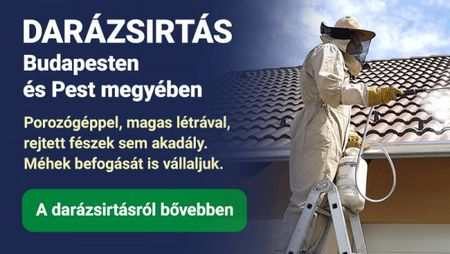 rovarirtás - darázsirtás