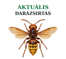 Kártevőirtás - Aktuális darázsirtás ajánlataink.